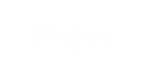 Forest | Progettiamo impianti audio e video per la tua auto casa ed azienda